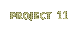 Project 11