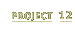 Project 12