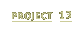 Project 13