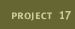 Project 17