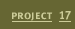 Project 17