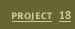 Project 18