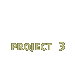 Project 3