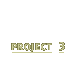 Project 3