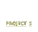 Project 5