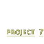 Project 7