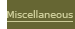 MISCELLANEOUS