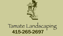 Tamate Home