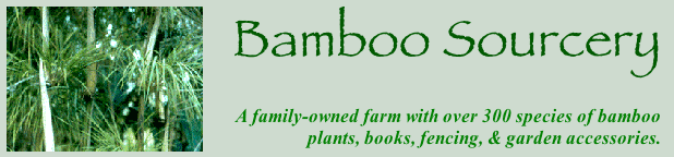 Bambo Source