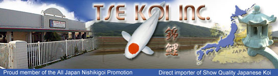 Tse Koi Inc.