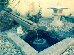 Close up of custom self-sustaining water feature