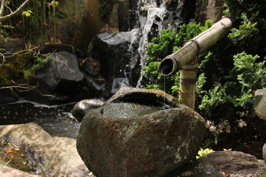 benefits of water features