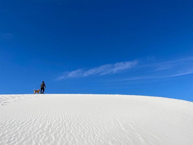 NewMexico-TamateII