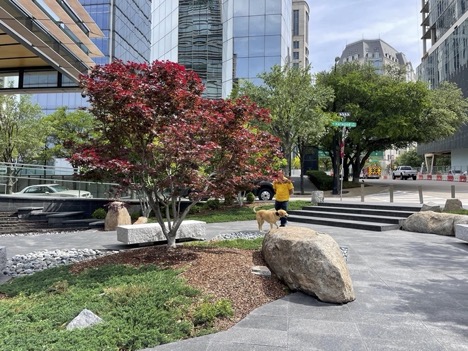 Paul admiring Japanese landscaping