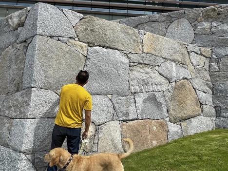 Paul Inspecting wall