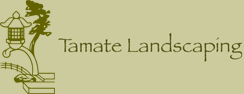 Tamate Landscaping - Landscape Contractors, San Francisco