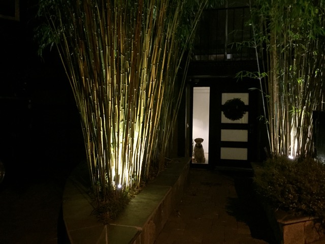Bamboo screen driveway