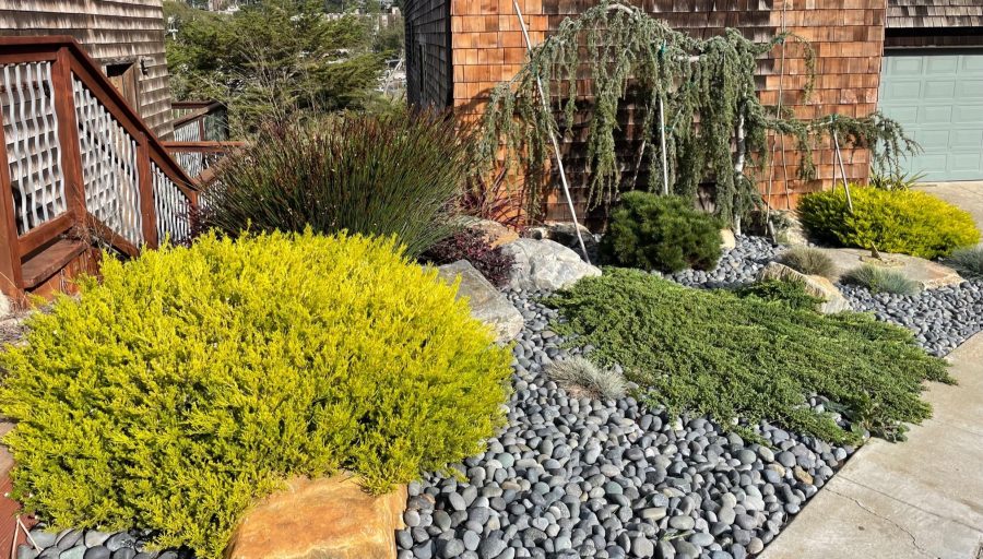 Sustainable Rock Garden