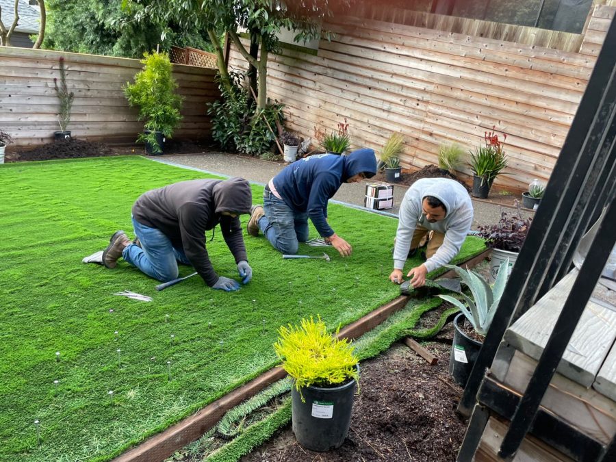 Installation of artificial turf for our Sunnyside, San Francisco project. Three workers kneeled down, hammering nails carefully into artificial turf.