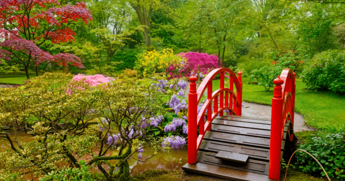 Red bridge over Japanese Garden