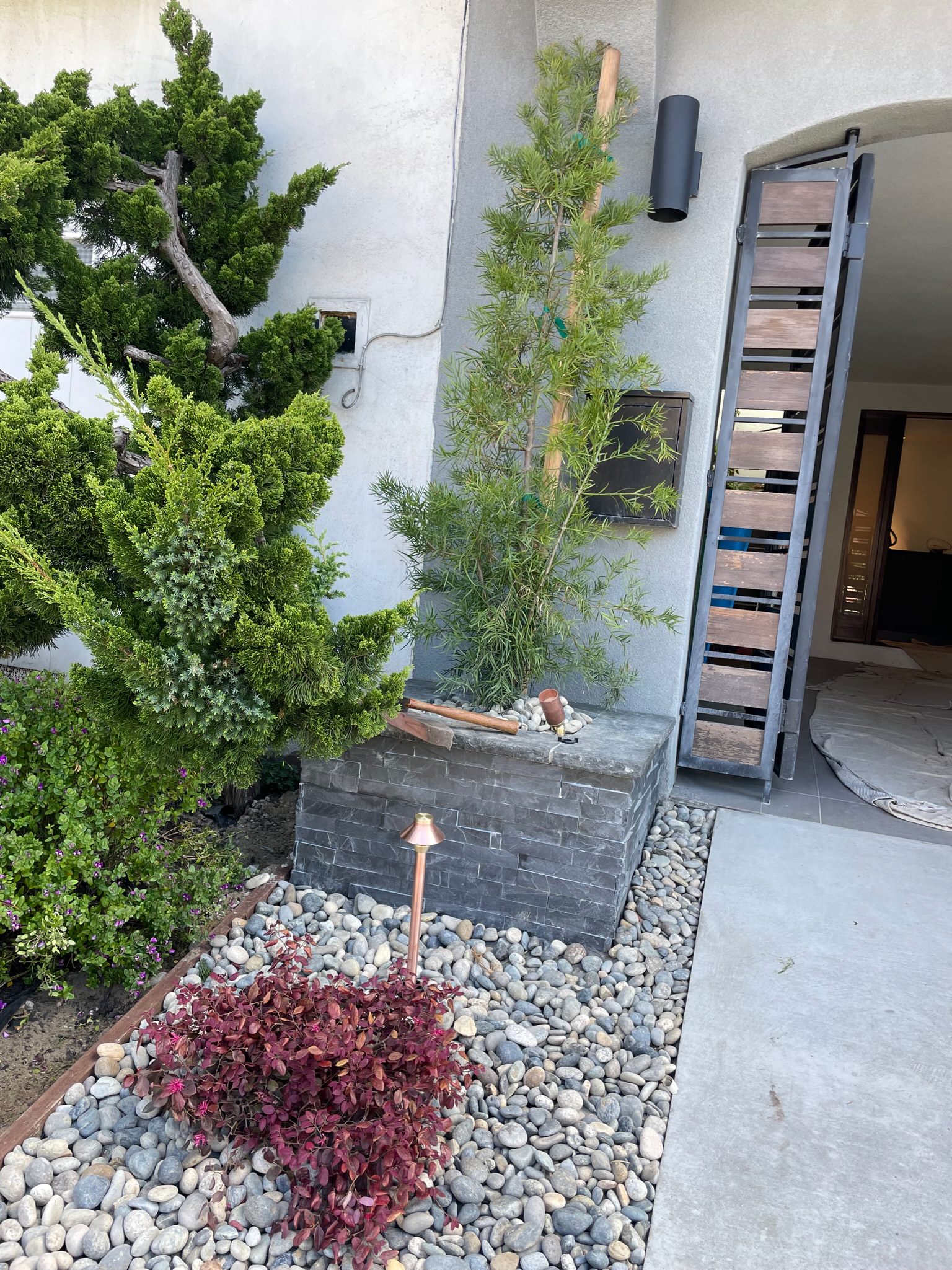 Front yard raised planter with Fern Pine (Podocarpus Gracillor) planted. Planter is faced with black stone veneer and capped with black basalt.