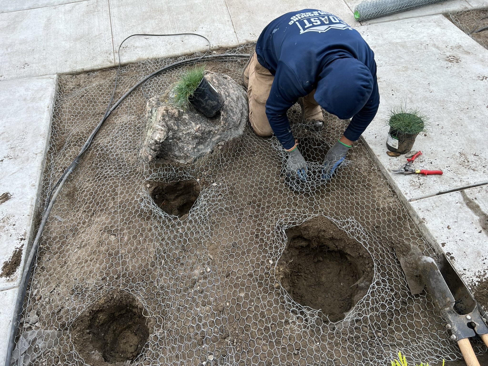 Gopher wire installation. Plant holes being covered with gopher wire by worker in blue hoodie. Four plant holes dug out in rectangular area covered with gopher wire.