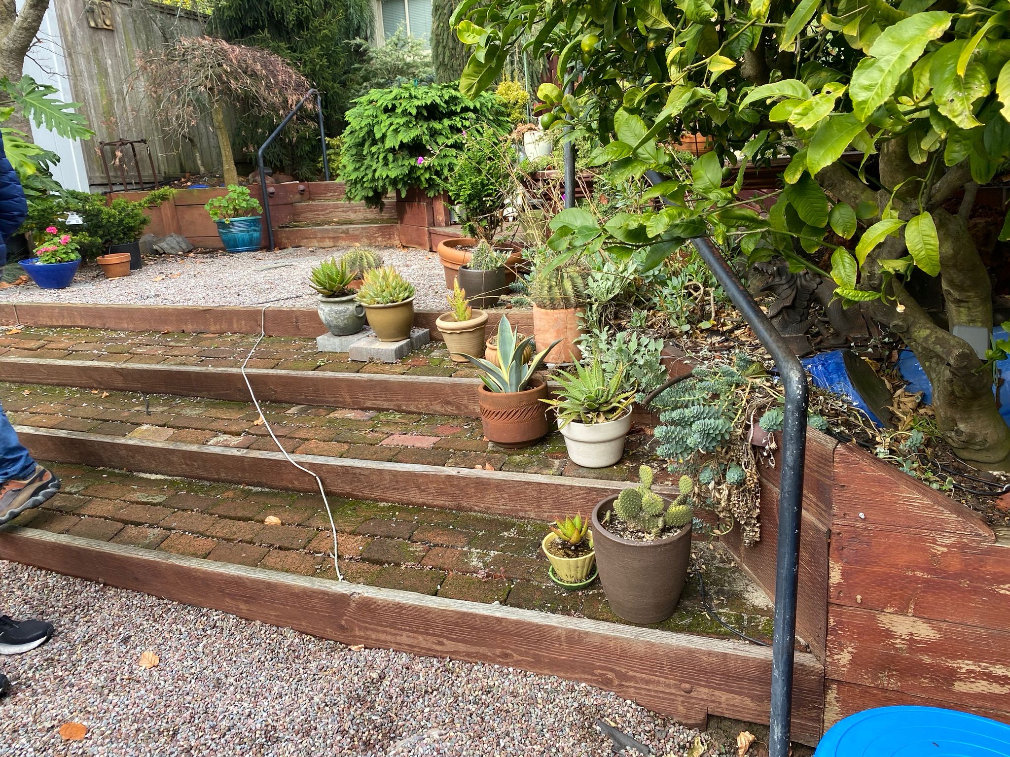 Backyard before make-over in Corona Heights, San Francisco. Three levels of worn brick stairs with decomposed granite on bottom and top landing and walkway.
