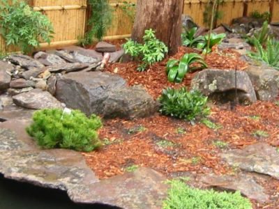 Selection of plants on the edge of an Asian-style pond by Tamate Landscaping