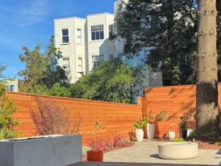 Tongue and groove fencing as part of a larger landscaping project, by Tamate Landscaping
